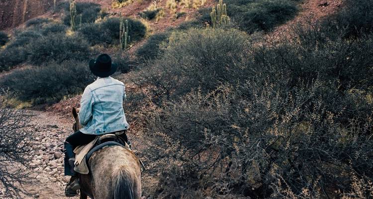 Een reiziger te paard rijdt door ruig woestijnstruweel vol cactussen en struiken.