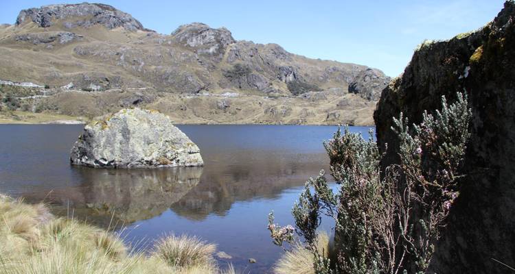 Una roca solitaria se eleva desde un tranquilo lago alpino respaldado por picos marrones y vegetación baja en el Parque Nacional El Cajas.