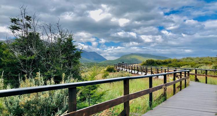 Pasarela de madera serpenteante a través de un exuberante bosque verde con montañas bajo un cielo parcialmente nublado.