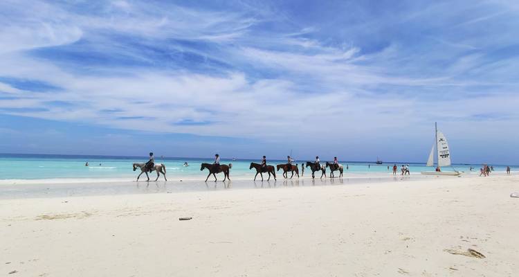 Rangée de cavaliers le long du rivage turquoise de Zanzibar avec un voilier et des baigneurs à proximité.