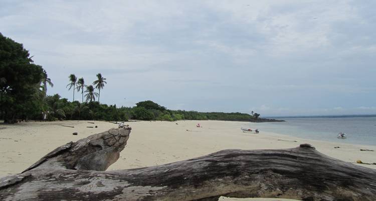 Ruhiger Strand mit weißem Sand, verstreut stehende Palmen, vor Anker liegende Boote und ein Treibholzstamm im Vordergrund unter leichten Wolken.