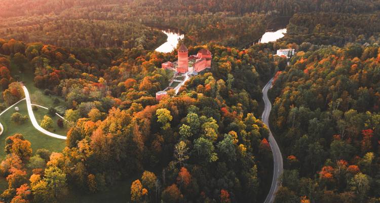 Dramatische luchtfoto van een kasteeltje op een heuvel dat gloeit temidden van uitgestrekt herfstwoud met een kronkelende rivier en wegen