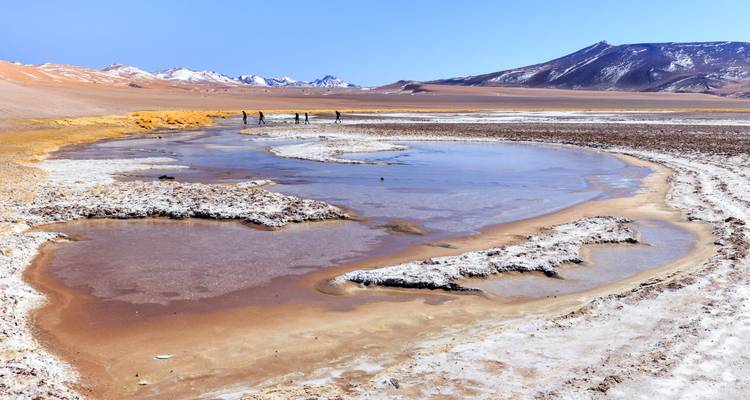 Plaine de sel en haute altitude avec un cours d'eau minéralisé sinueux, des pics lointains saupoudrés de neige et de minuscules visiteurs.