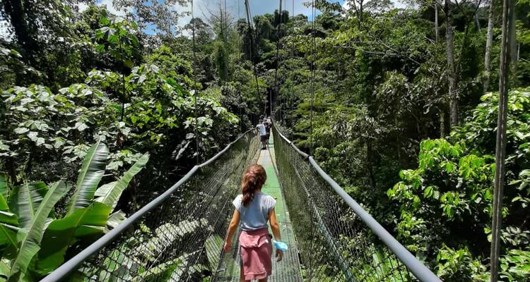 Un niño camina sobre un largo puente colgante verde en lo profundo del dosel de la selva tropical