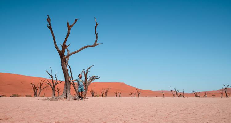 Reiziger die naast een dode kameldoornboom staat op het gebarsten zoutpan van Deadvlei met rode duinen erachter.