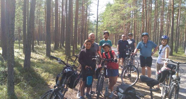 Cycling group pauses on a sun-dappled forest track surrounded by tall pine trees.