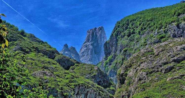 Dramatic limestone peaks and lush green slopes of the Picos de Europa under a clear blue sky.
