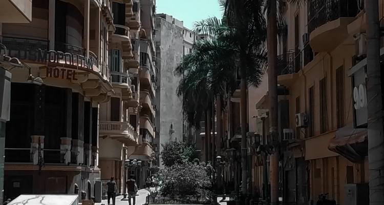 Une rue méditerranéenne ombragée bordée de palmiers et de bâtiments ornés du début du XXe siècle.