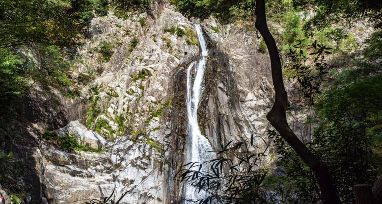 Schmaler Wasserfall, der über eine raue Felswand in einer üppigen bewaldeten Schlucht hinabstürzt