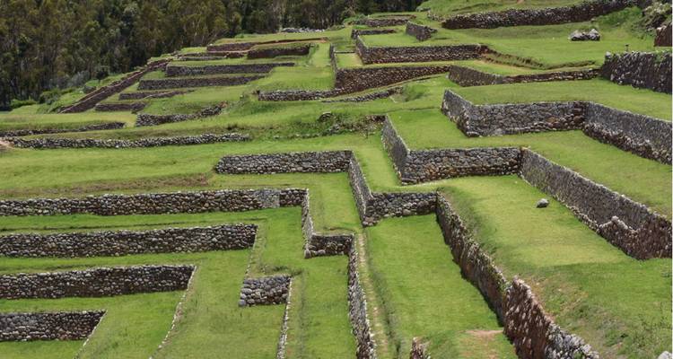 Série de terrasses agricoles anciennes construites sur le flanc verdoyant d'une colline dans les Andes.