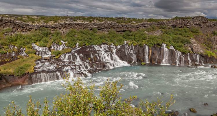 Hraunfossar, une série de cascades en cascade émergeant à travers la lave dans une rivière d'un bleu glacial sous un ciel nuageux.