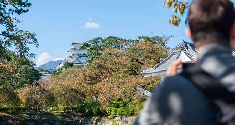Turista fotografiando un castillo japonés blanco parcialmente oculto por los árboles en un día soleado