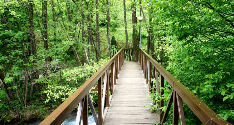 Narrow wooden footbridge leading through lush green forest over a rushing stream