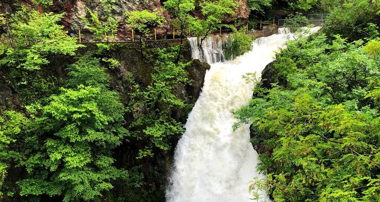 Powerful waterfall plunging down a rocky cliff surrounded by dense, bright green foliage