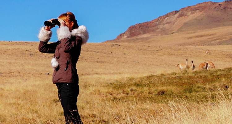 Frau mit Fernglas beobachtet Wildtiere auf einer offenen Grasfläche mit entfernten Hügeln.