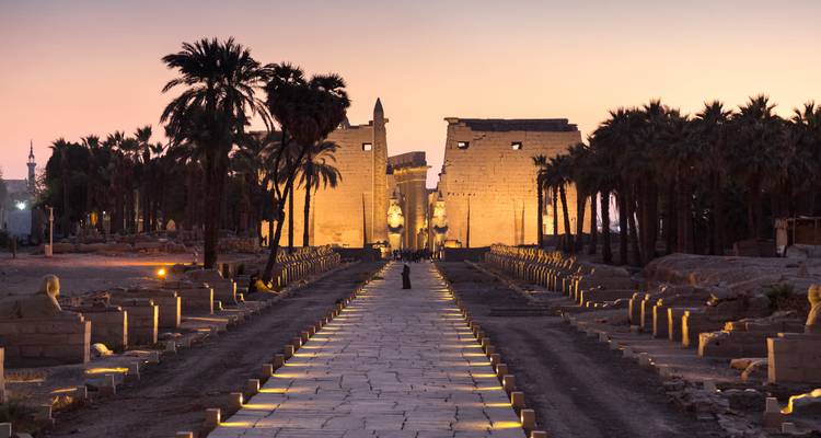 L'avenue illuminée des sphinx mène à l'entrée du temple de Louxor au crépuscule avec un ciel violet-orange.