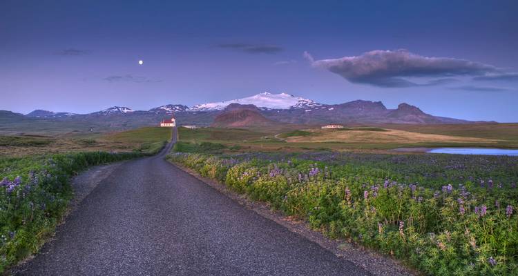 Schemering weg omzoomd door paarse lupine velden die naar de sneeuwbedekte Snæfellsjökull leiden met de maan erboven.