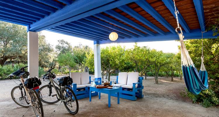 Outdoor lounge with blue furniture, bicycles parked nearby and a hammock under a wooden roof.