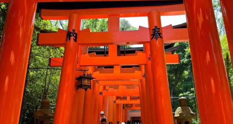 Reihe von leuchtend zinnoberrot gefärbten Torii-Toren, die einen Tunnel durch den bewaldeten Fushimi-Inari-Schrein bilden