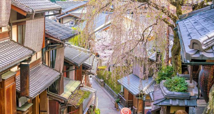 Traditionelle Ziegeldächer und enge Gassen im Higashiyama-Viertel von Kyoto unter blühenden Kirschbäumen