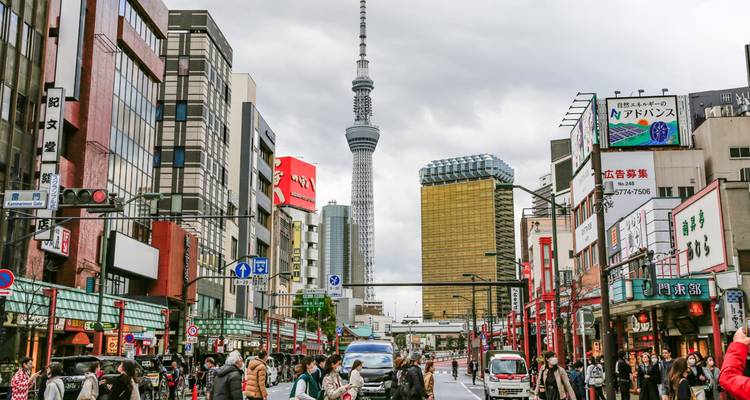 Tokyo's drukke straatscène met menigtes en de imposante Skytree die uittorent onder grijze lucht.