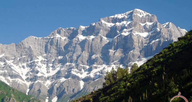 Schneebedeckter raue Bergspitze vor klarem blauen Himmel mit grünem Hang im Vordergrund.
