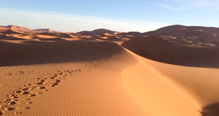 Infinitas dunas de arena ondulante con huellas que llevan hacia el horizonte del desierto