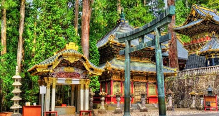 Sierlijke, kleurrijke heiligdomgebouwen en een hoog torii-poortje tussen hoge cederboomen in Nikko.
