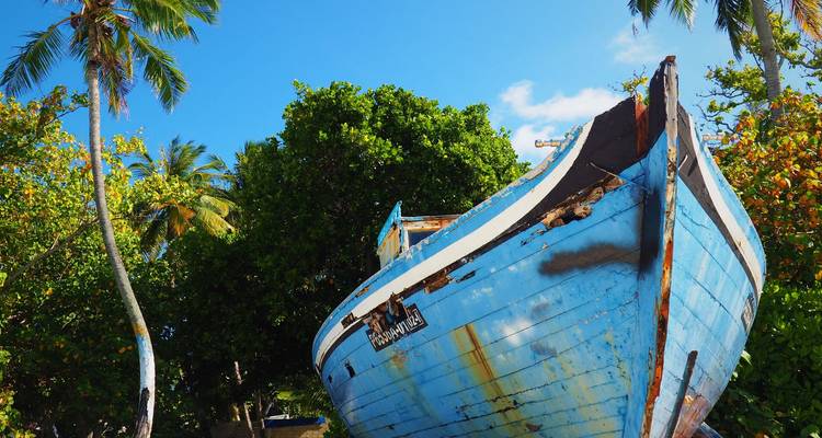 Ancien bateau de pêche en bois bleu échoué parmi des arbres tropicaux sous un ciel lumineux