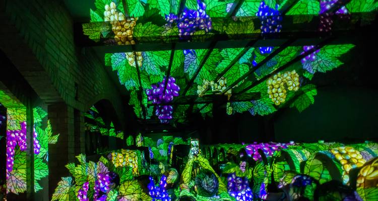Bodega transformada por proyecciones vívidas de uvas verdes y moradas en barriles y paredes.