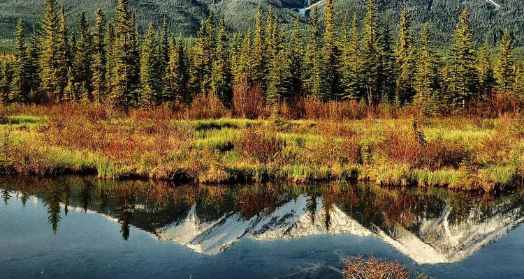 Identical alpine scene of forest and mountains mirrored in calm water.