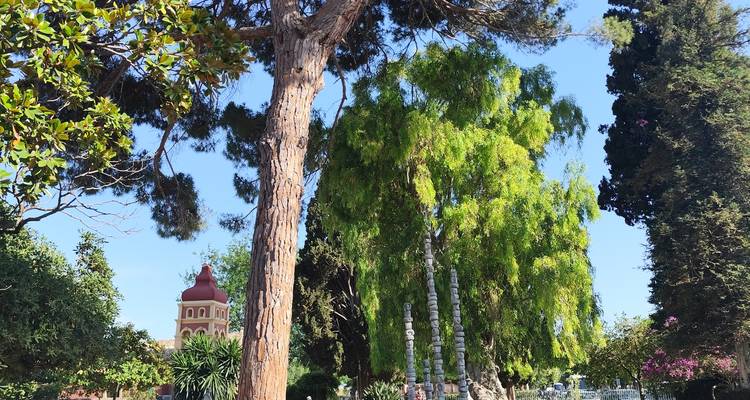 Scène ensoleillée d'un parc avec de grands arbres et un petit bâtiment à dôme rouge qui apparaît à travers le feuillage.