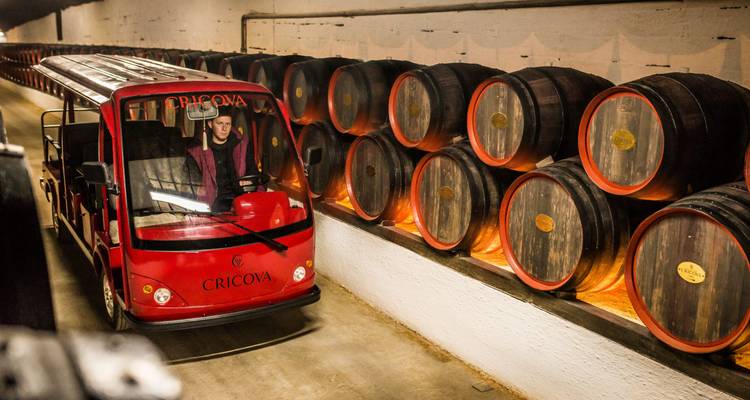 Rode elektrische tram die bezoekers voorbij rijen eikenvaten vervoert in de ondergrondse wijnmakerij van Cricova.