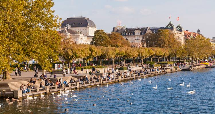 Locals and visitors relax along wooden platforms on Zurichsee’s edge feeding swans under autumn foliage.