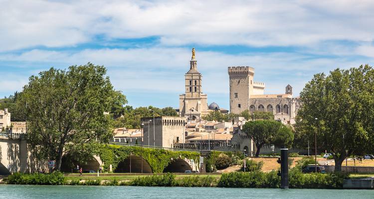 Skyline van Avignon met het Palais des Papes en bomen aan de rivieroever weerspiegeld in de Rhône.
