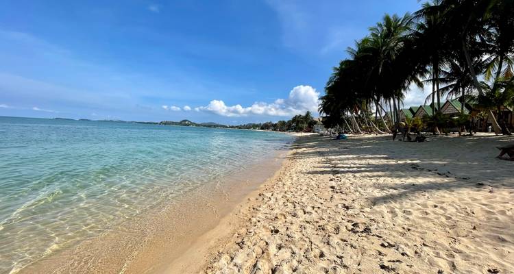 Plage de sable tropical aux eaux turquoise cristallines, palmiers à noix de coco et ciel bleu a Koh Samui.