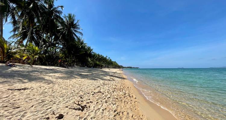 Long stretch of pristine sandy shoreline and palm trees beside calm turquoise sea.
Longue étendue de rivage sablonneux immaculé et palmiers bordant une mer turquoise calme.