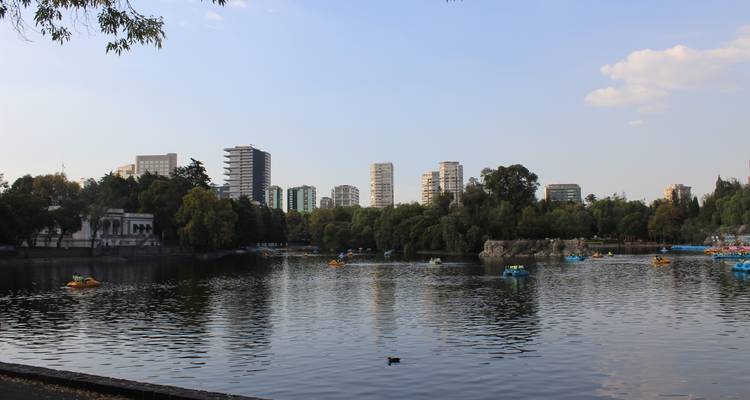 Großer Stadtseee mit Tretbooten, Bäumen und Wohnhochhäusern der Stadt in der Ferne in der Abenddämmerung