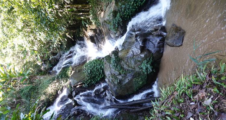 Pequeña cascada de la selva de varios niveles salpicando rocas hacia una piscina lodosa.