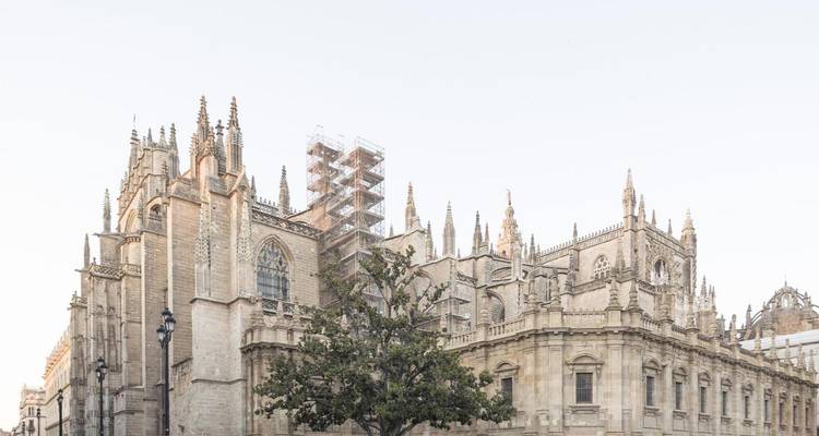 Gran catedral gótica de piedra de color claro con arbotantes contra un cielo brillante.