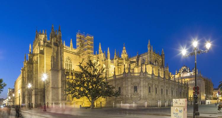 Illuminated Seville Cathedral and Giralda Tower glow against the deep blue twilight sky.