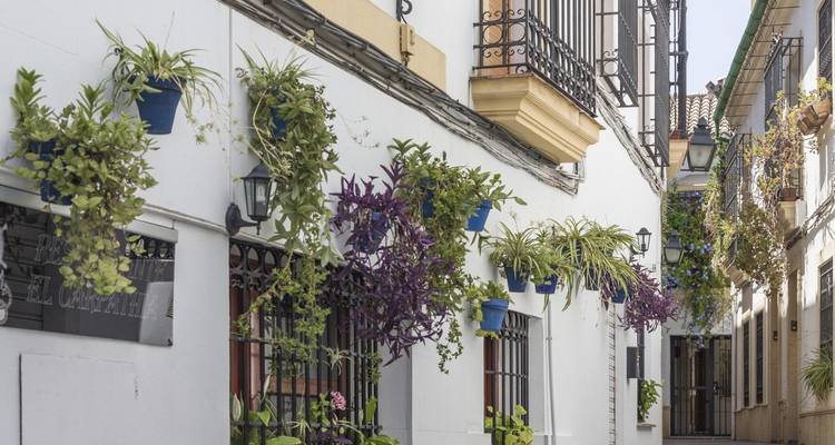 Narrow Andalusian alley adorned with hanging potted plants and wrought-iron balconies in Córdoba.