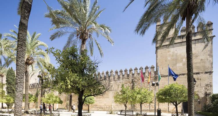 Fortified stone walls and towers framed by palm trees and citrus trees under a clear sky