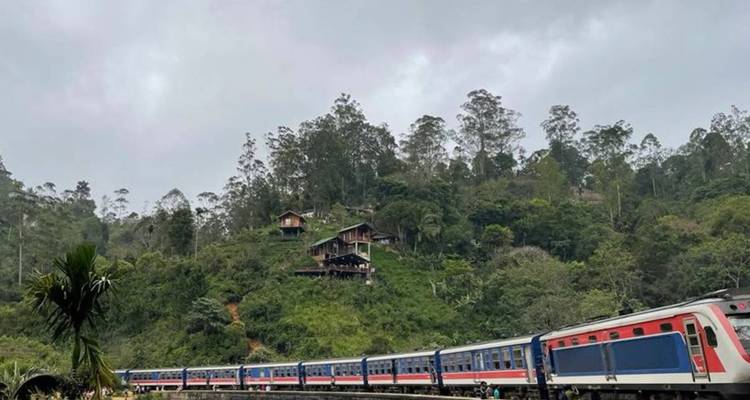 Un tren de pasajeros rojo y azul serpentea a través de colinas verdes y exuberantes bajo un cielo gris.