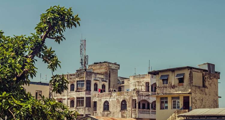 Bâtiments de style swahili usés par le temps et toits de la vieille ville de Mombasa encadrés par des branches feuillues