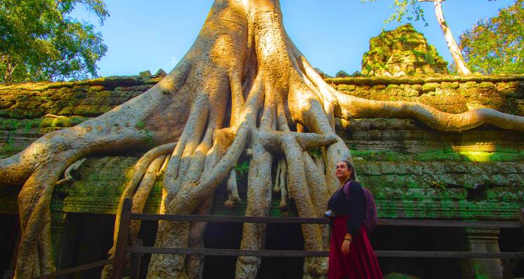 Una viajera con falda roja mira hacia arriba las enormes raíces de árbol que envuelven las ruinas del templo Ta Prohm.