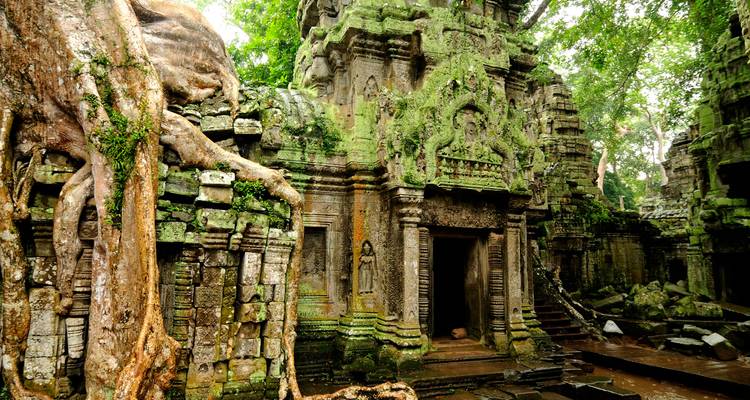 Entrada del templo cubierto de musgo envuelta en raíces de árboles que se extienden en Ta Prohm.