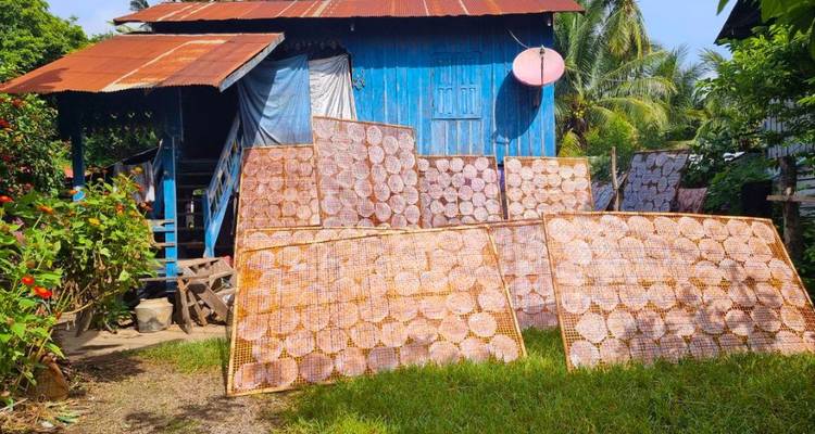 Casa sobre pilotes azul con múltiples bastidores de bambú de papel de arroz secándose en el patio de césped.