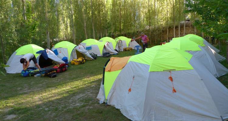 Series of bright lime-topped camping tents set up on a grassy site with travellers packing gear