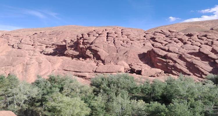 Les formations de grès rouge arrondies connues sous le nom de Doigts de Singe au-dessus d'un bosquet verdoyant